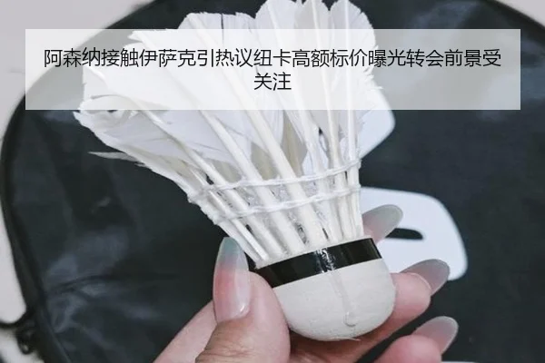 阿森纳接触伊萨克引热议纽卡高额标价曝光转会前景受关注